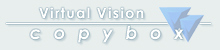 A Virtual Vision Product